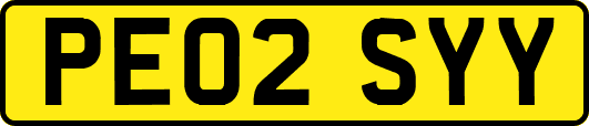 PE02SYY