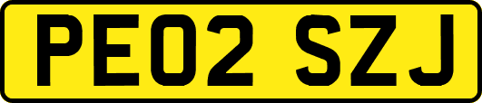 PE02SZJ