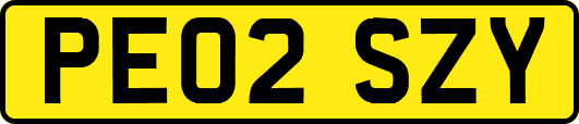 PE02SZY