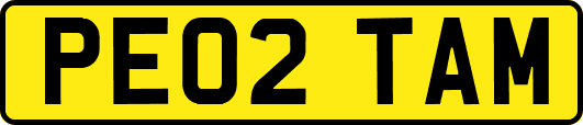PE02TAM