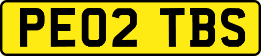 PE02TBS