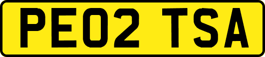 PE02TSA