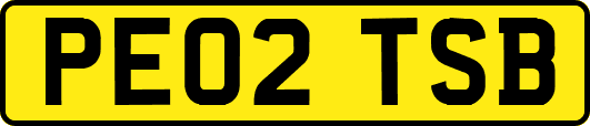 PE02TSB