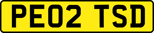 PE02TSD