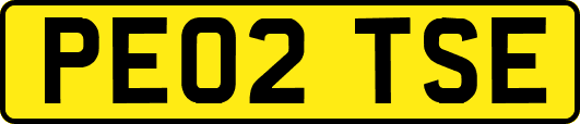 PE02TSE