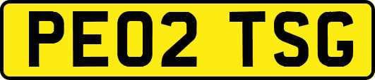 PE02TSG