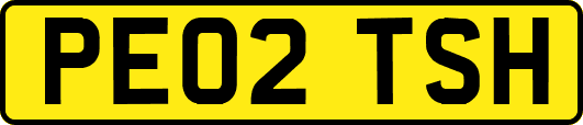 PE02TSH