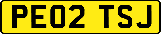 PE02TSJ