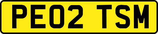 PE02TSM