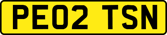 PE02TSN