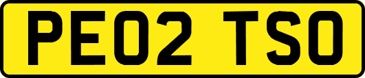 PE02TSO