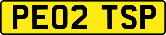 PE02TSP