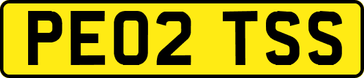 PE02TSS