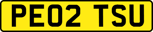 PE02TSU