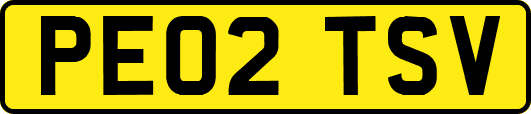 PE02TSV