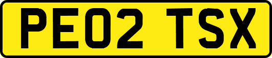 PE02TSX
