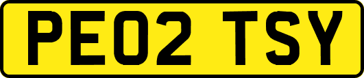 PE02TSY