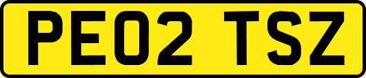 PE02TSZ