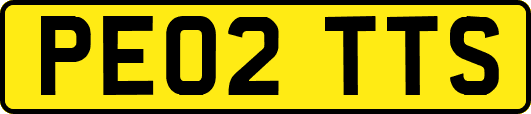 PE02TTS