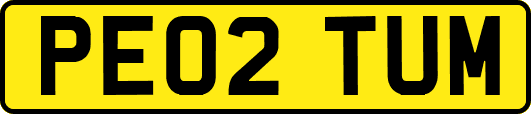 PE02TUM
