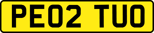 PE02TUO