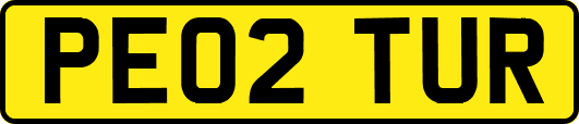 PE02TUR