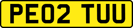 PE02TUU