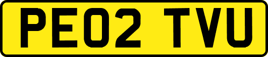 PE02TVU