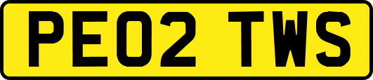 PE02TWS