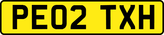 PE02TXH