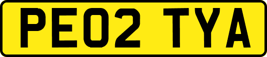 PE02TYA