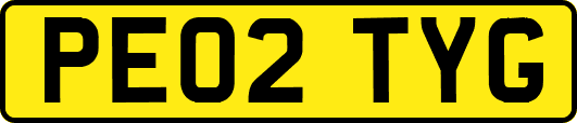 PE02TYG