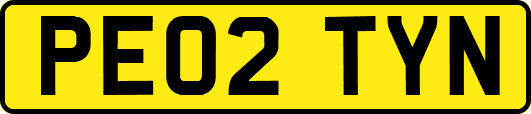 PE02TYN