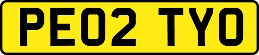 PE02TYO