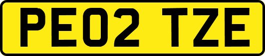 PE02TZE
