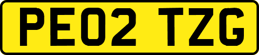 PE02TZG