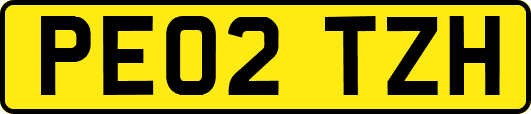 PE02TZH
