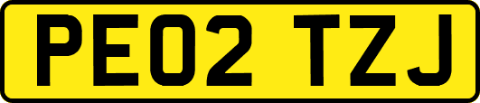 PE02TZJ