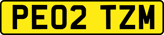 PE02TZM