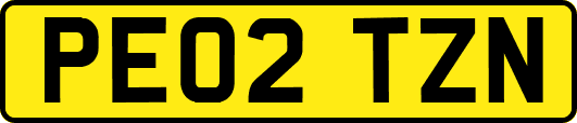 PE02TZN