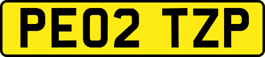PE02TZP