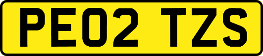 PE02TZS