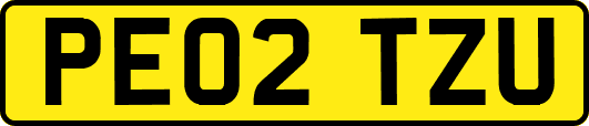 PE02TZU