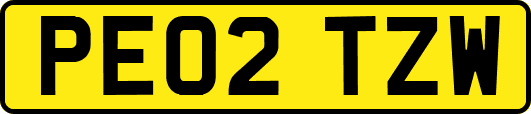 PE02TZW
