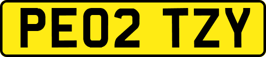 PE02TZY