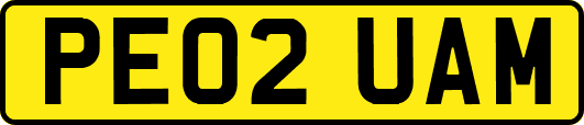 PE02UAM