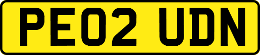 PE02UDN
