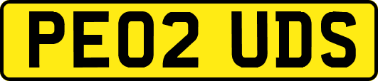 PE02UDS