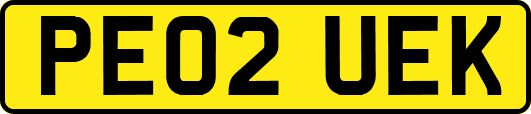 PE02UEK