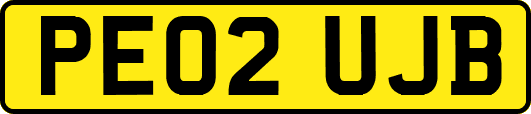 PE02UJB